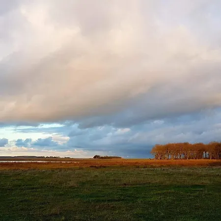 4 Person In Bogense-by Traum