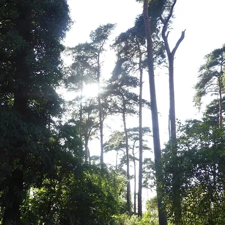 4 Person In Bogense-by Traum 公寓 *