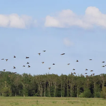 4 Person In Bogense-by Traum *