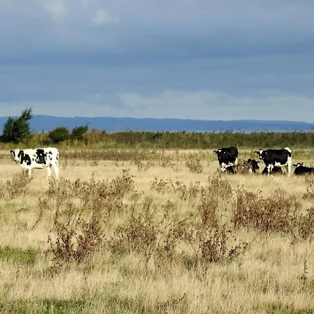 4 Person In Bogense-by Traum