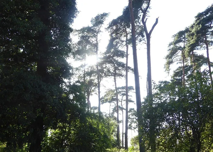 4 Person In Bogense-by Traum 公寓 *