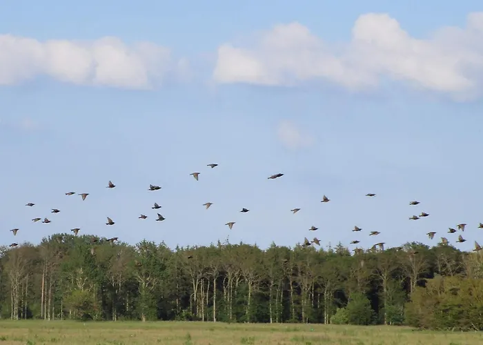 4 Person In Bogense-by Traum *