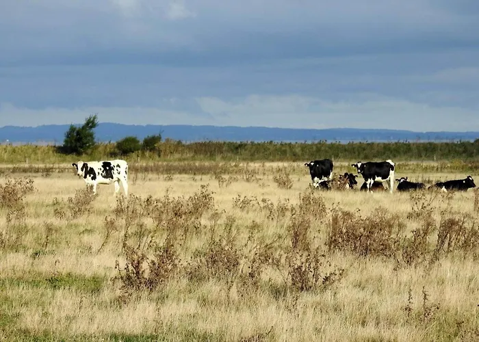 4 Person In Bogense-by Traum