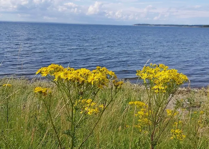 4 Person In Bogense-by Traum 博恩瑟