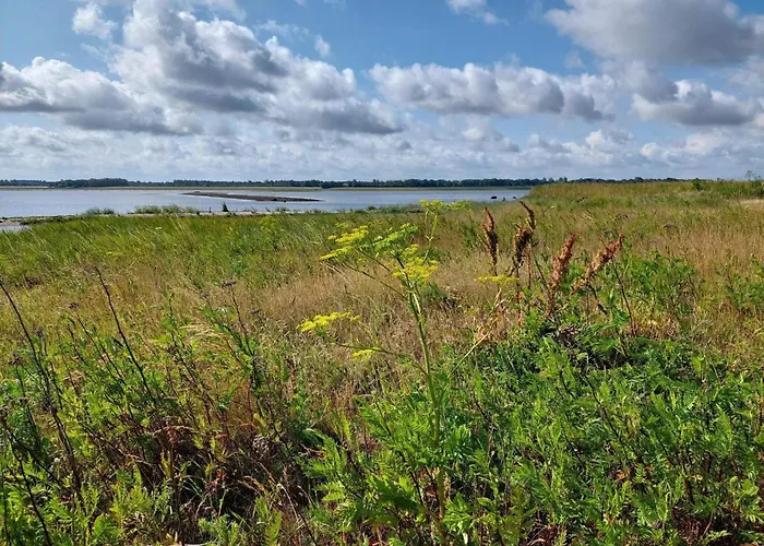 4 Person In Bogense-by Traum 博恩瑟