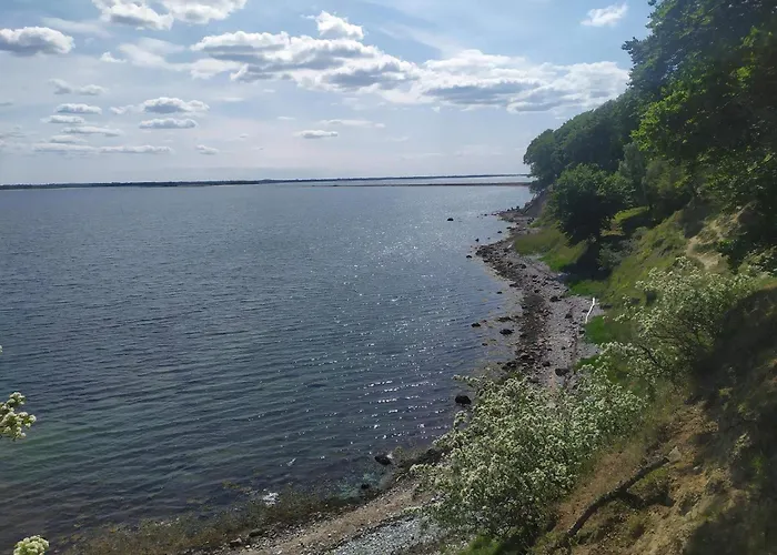 公寓 4 Person In Bogense-by Traum 博恩瑟